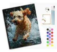 Paint by Numbers for Adults,DIY Oil Painting Art Kits with Acrylic Paint Brushes Craft Kits for Home Decor，40x50cm，Golden Retriever Leaping Over Water,with Frame