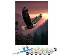 Paint by Numbers for Adults, DIY Painting Eagle Animal with Frame Paint by Numbers for Beginners, Oil Paintings Crafts Adults Hobbies for Women Gifts, Home Wall Decor 24x32 inch SYLDK110