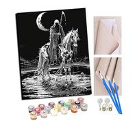 Paint by Numbers for Adults DIY Painting Kit with 40X50cm Pre-Printed Textured Art Canvas Acrylic Paints & 4 Brushes Ideal for Beginners with FrameStygian Raven