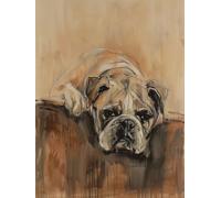 Paint by Numbers for Adults Dog Paint by Numbers for Children Animal, DIY Colorful Canvas Oil Painting Kits Hobbies for Adults Women Paintings Arts for Home Wall Decor with Frame 100x135cm 3-IL73