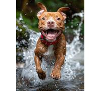 Paint by Numbers for Adults Dog Paint by Numbers for Children Animal, Retro DIY Colorful Canvas Oil Painting Kits Hobbies for Adults Women Paintings Arts for Home Wall Decor with Frame 30x40cm 7-4J35