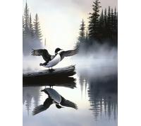 Paint by Numbers for Adults Duck Paint by Numbers for Children River, Retro DIY Colorful Canvas Oil Painting Kits Hobbies for Adults Women Paintings Arts for Home Wall Decor with Frame 60x80cm 6-0730