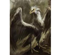 Paint by Numbers for Adults Eagle Paint by Numbers for Children Animal, DIY Colorful Canvas Oil Painting Kits Hobbies for Adults Women Paintings Arts for Home Wall Decor with Frame 80x100cm E-9916