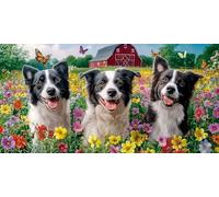 Paint by Numbers for Adults - Farm Dogs Paint by Numbers Kits for Beginner, Without Frame DIY Acrylic Oil Adult Painting by Number Canvas Kits, Perfect for Home Wall Decor Gifts 80x40in z-650