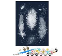 Paint by Numbers for Adults Feather White, DIY Painting Paint by Numbers for Children Beginners Kits, With 3 Brushes and 36 Acrylic Pigment Hobbies for Women Gifts, Home Wall Decor 20x28in BJHWK738