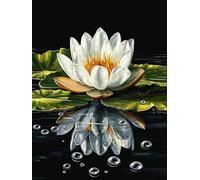 Paint by Numbers for Adults Flower, 32x48 Inch Plant Paint by Numbers Kits for Adults/Beginner/Kids, DIY Oil Painting Acrylic Paints Kits, Canvas Art Kits for Gifts and Wall Decor, without Frame, C-42