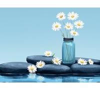 Paint by Numbers for Adults, Flower Diamond Painting Stone, Painting by Numbers for Adults Crystal Art, Acrylic Paint Brushes, Christmas Cross Stitch Kits Home Wall Decor (Without Frame, 60x80cm) 373