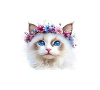 Paint by Numbers for Adults Flower, Large Paint by Numbers Ragdoll for Adults Beginners, DIY Art Kits for Children With Acrylic and Brushes for Home Wall Decor Gifts 12x24 in (Without Frame) Z-707