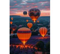 Paint by Numbers for Adults Flower Paint by Numbers for Children Hot Air Balloon, Hobbies for Adults Women Retro DIY Canvas Oil Paintings Kits Arts for Home Wall Decor 16x24in Without Frame F-B765