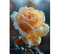 Paint by Numbers for Adults Flower Paint by Numbers for Children Plant, DIY Colorful Canvas Oil Painting Kits Hobbies for Adults Women Paintings Arts for Home Wall Decor with Frame 80x100cm D-8N46