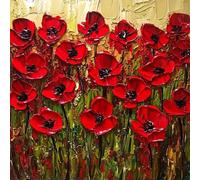 Paint by Numbers for Adults Flower Paint by Numbers Red Pattern Design, Acrylic Paintngs On Clear Symbols Colored Canvas, Easy DIY Acrylic Pigment Drawing Paintwork for Home Wall Decor, 70X70CM