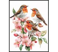 Paint by Numbers for Adults Flower Pattern Design, Robin Painting by Numbers for Adults Beginners, Canvas Wall Art Acrylic Oil Paintings Children, Home Room Decor, Gifts for Women, 10x15cm,Model-1508
