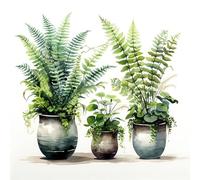 Paint by Numbers for Adults Green Plant - Adult Paint by Numbers Kits for Beginner, Potted Plant DIY Acrylic Oil Adult Painting by Number Canvas Kits, Perfect for Home Wall Decor 16X16 Inch