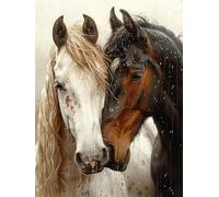 Paint by Numbers for Adults Horse, Animal Paint by Numbers Kits, DIY Color Oil Painting Adult Crafts, Painting Kits with Brushes and Acrylic, for Home Wall Decor, Gifts for Women, 24x36in M-1291