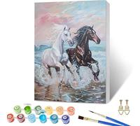 Paint by Numbers for Adults Horse, Ocean Waves Paint by Numbers Kits with Frame, DIY Arts and Crafts for Beginners Oil Paintings with Brushes and Acrylic, for Room Decor, Relax, Gifts, 40x54in R-9187