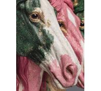 Paint by Numbers for Adults Horse Paint by Numbers for Children Animal, DIY Colorful Canvas Oil Painting Kits Hobbies for Adults Women Paintings Arts for Home Wall Decor with Frame 60x80cm B-JY32
