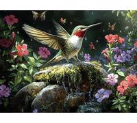 Paint by Numbers for Adults Hummingbird Paint by Numbers Flower Painting Kits on Canvas, Crafts for Adults DIY Oil Hand Painting Kit, Acrylic Drawing Paintwork, Home Wall Decor Gifts 50x70cm E1-1529