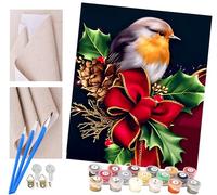 Paint by Numbers for Adults Kids Beginner Robin Hood Bird DIY Acrylic Painting by Numbers Kits with Brushes Acrylic Pigment Home Decoration Brithday Gifts 16 x 20 inch