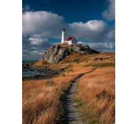 Paint by Numbers for Adults Landscape, Beach Easy Paint by Numbers Kits for Beginners, DIY Painting Kits with Brushes and Acrylic, Color Oil Painting Adult Crafts, for Room Decor, Gifts 40x54in M-3470