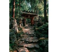 Paint by Numbers for Adults Landscape, DIY Paint by Numbers Canvas Kits Plant, Painting Kits with Brushes and Acrylic, DIY Color Oil Painting for Beginners, Wall Art Decor, Spring Gifts 12x16in 8-2179