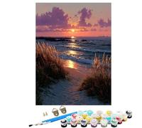 Paint by Numbers for Adults Landscape, DIY Painting Sunset With Frame Paint by Numbers for Children Beginners, Oil Paintings Crafts Adults Hobbies for Women Gifts, Home Wall Decor 12 x 16 in KSWDK201