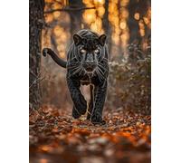 Paint by Numbers for Adults Leopard Paint by Numbers for Children Animal, DIY Colorful Canvas Oil Painting Kits Hobbies for Adults Women Paintings Arts for Home Wall Decor with Frame 100x135cm 0-WQ87