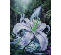 Paint by Numbers for Adults Lily Painting by Numbers for Children Kits On Canvas Fall DIY Color Oil Painting Art Crafts Acrylic Pigment Drawing Paintwork, Home Wall Decor, Without Frame 70x90cm S0-5