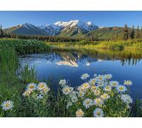 Paint by Numbers for Adults, Mountain Diamond Painting Lake, Painting by Numbers for Adults Crystal Art, Acrylic Paint Brushes, Christmas Cross Stitch Kits Home Decor (Without Frame, 30x40cm) U-749