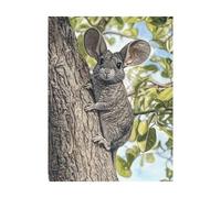 Paint by Numbers for Adults Mouse Paint by Numbers Kits Animal, DIY Hobbies for Adults Women Art Supplies 54 x 40in, Wall Art Crafts Color Canvas for Painting, Home Decor Gifts for Women 2YH-10995