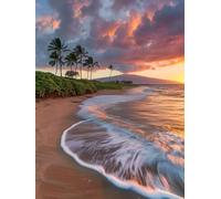 Paint by Numbers for Adults Ocean Paint by Numbers for Children Beach, Hobbies for Adults Women DIY Canvas Oil Paintings Kits Arts with Accessories for Home Wall Decor 32x47in Without Frame N-6X89