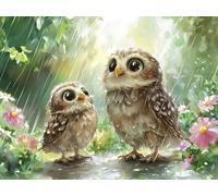 Paint by Numbers for Adults, Owl Diamond Painting Forest, Painting by Numbers for Adults Crystal Art, Acrylic Paint Brushes, Christmas Cross Stitch Kits Home Wall Decor (Without Frame, 40x50cm) U-555