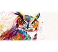 Paint by Numbers for Adults Owl DIY Paint by Number Art Painting by Numbers for Beginners, Acrylic Canvas Painting Art Crafts for Adults, Wall Home Decor, Gifts for Women Kids 35X70CM (Without Frame)