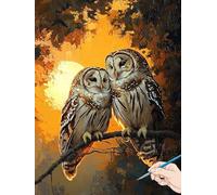 Paint by Numbers for Adults Owl Paint by Numbers Animals for Children Beginners, DIY Acrylic Canvas Paintings Kits Hobbies for Adults Women for Halloween Decorations Gifts for Women 30x40cm B-42