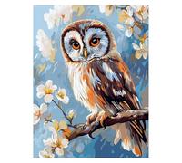 Paint by Numbers for Adults, Owl Painting by Numbers Animal 24 x 32Inch, DIY Hobbies for Adults Women, Painting on Canvas Using Acrylic Paint and Brushes, Wall Art Set for Room Decor Gifts LSJ1306
