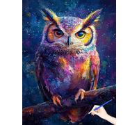 Paint by Numbers for Adults Owl Painting by Numbers for Adults Beginner DIY Animals Color Oil Painting on Canvas Art and Craft Kits for Autumn Decorations Gifts for Women (Without Frame) 40x50cm F-44