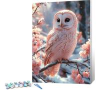 Paint by Numbers for Adults Owl, Painting by Numbers for Kids Beginners Winter Without Frame DIY Color Acrylic Oil Paint Kit Crafts Arts for Adults, Easy Painting for Decor,Gifts for Women 60x90 0j-94
