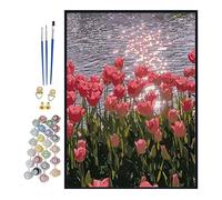 Paint by Numbers for Adults, Paint by Numbers Aesthetic Beautiful