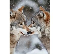 Paint by Numbers for Adults, Paint by Numbers Wolf Snow, DIY Painting by Number with 3 Brushes and Acrylic Paints, Beginner Easy Oil Painting Canvas Set, Room Decor, Gifts for Women 40x50cm L0-813