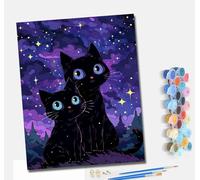 Paint by Numbers for Adults Painting by Number Kits On Canvas Craft Art Painting Kit Acrylic Pigment Drawing Paintwork for Gift Home Wall Decor With frameLooking up at the starry sky black cat