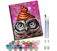 Paint by Numbers for Adults,Painting by Number Kits On Canvas,DIY Color Oil Painting,Home Wall Decor 16x20in/40x50cm,Magic Hat Owl,Frameless