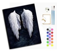 Paint by Numbers for Adults,Painting by Number Kits On Canvas,DIY Color Oil Painting,Home Wall Decor 16x20in/40x50cm,Broken White Wings,with Frame