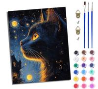 Paint by Numbers for Adults Painting by Number Kits On Canvas DIY Craft Art Painting Kit Acrylic Pigment Drawing Paintwork for Gift Home Wall Decor 16x20 inch/40x50cm Starry Night Black Cat Castle