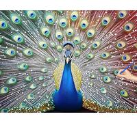 Paint by Numbers for Adults Peacock Paint by Numbers Animal Kits on Canvas Hobbies for Adults Women, DIY Acrylic Oil Painting Kits Without Frame, Gifts for Women Christmas Decorations 90x70cm R-41