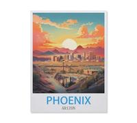 Paint by Numbers for Adults,Phoenix Arizona,DIY Paint by Numbers Kits for Adults Kids on Canvas with Brushes and Acrylic Pigment Oil Painting Kits Home Decor Gift(40x50cm) 15.7x19.6 inches-FI11