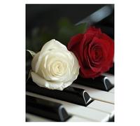 Paint by Numbers for Adults, Piano Painting by Numbers Flower 28x38 Inch, DIY Hobbies for Adults Women, Painting on Canvas Using Acrylic Paint and Brushes, Wall Art Set for Room Decor Gifts LSJ-2795