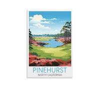 Paint by Numbers for Adults,Pinehurst North California Simple Painting Kits for Kids for Gift Home Wall Decor 50x60cm