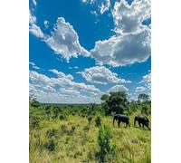 Paint by Numbers for Adults Plant, Elephant Paint by Numbers Kits, DIY Color Oil Painting Adult Crafts, Painting Kits with Brushes and Acrylic, for Home Wall Decor, Gifts for Women, 24x36in 1-6442