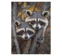 Paint by Numbers for Adults, Raccoon Painting by Numbers Tree 16 x 22Inch, DIY Hobbies for Adults Women, Painting on Canvas Using Acrylic Paint and Brushes, Wall Art Set for Room Decor LSJ-2826