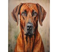 Paint by Numbers for Adults-Rhodesian Ridgeback,Dog-Paint by Numbers for Adults Beginners,Acrylic Simple Paint by Number Canvas for Gift Decoration,40x50cm,Without Frame