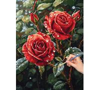 Paint by Numbers for Adults Rose, Paint by Numbers Canvas Kits for Adults, 3 Nylon Brushes, Plants Painting by Number Kits for Children, Wall Art for Room Home Decor, Gifts for Women 50x70cm, -8233